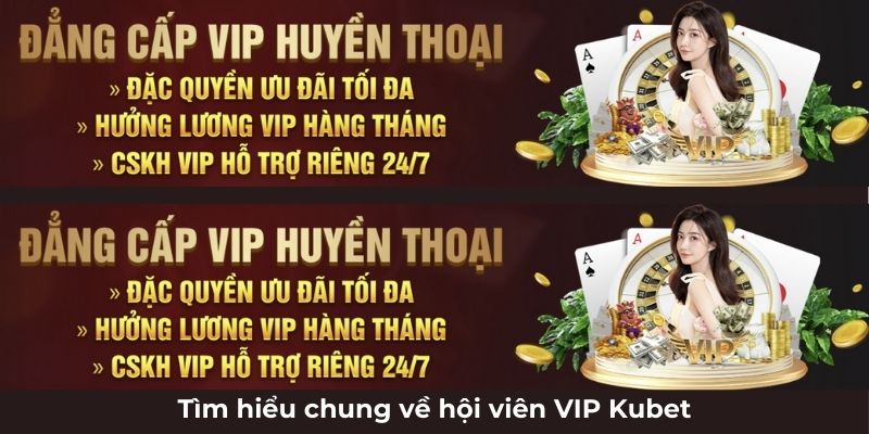 Tìm hiểu chung về hội viên VIP Kubet